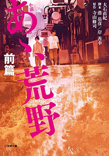 小説 あゝ、荒野 前篇