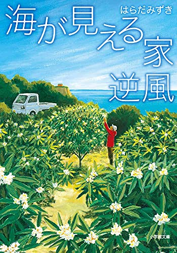 海が見える家 逆風