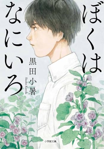 ぼくはなにいろ