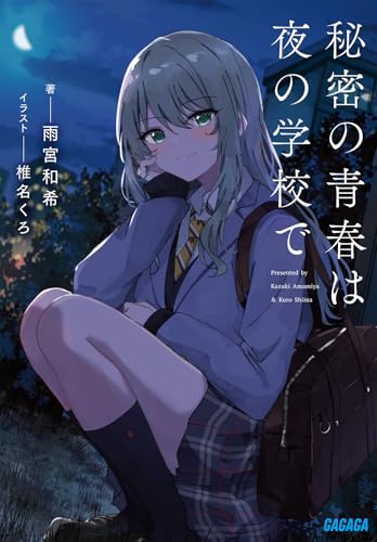 秘密の青春は夜の学校で