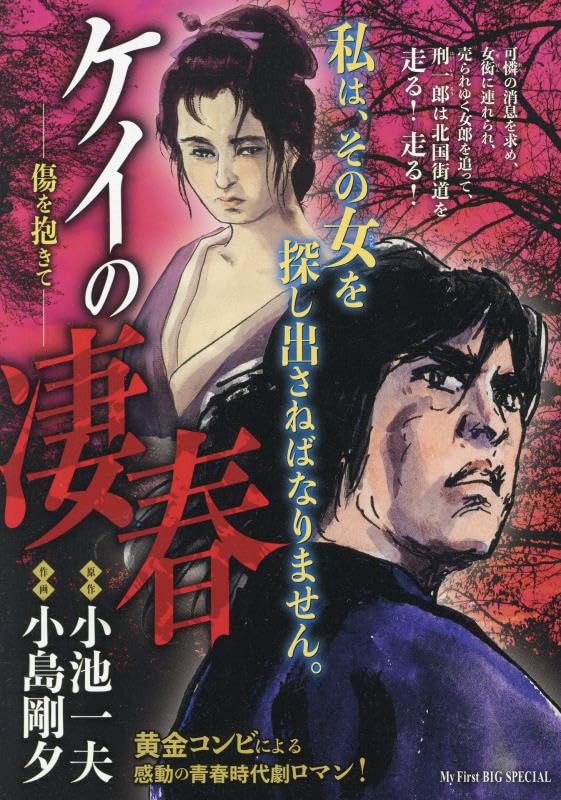 ケイの凄春 傷を抱きて