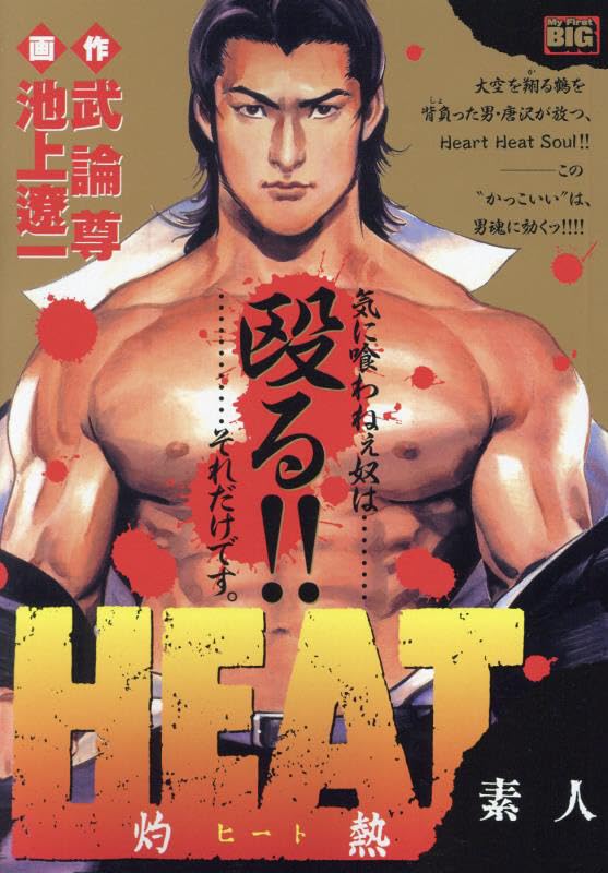 HEAT-灼熱ー 素人の表紙