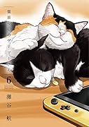 猫暮らしのゲーマーさん(6)