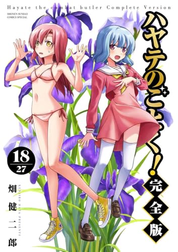 ハヤテのごとく! 完全版(18)