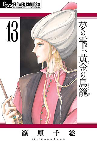 夢の雫、黄金の鳥籠(13)