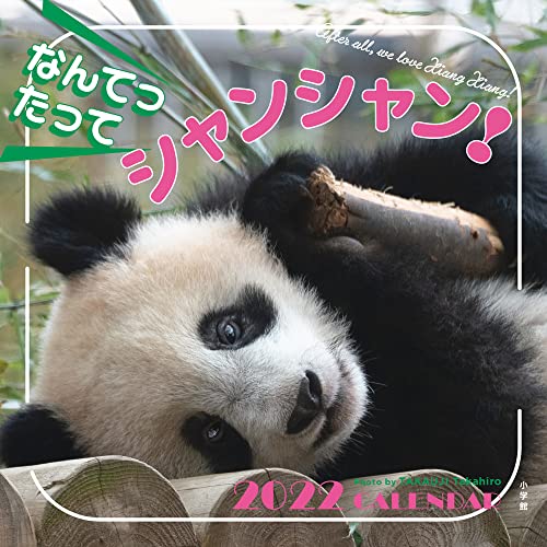 Amazon.co.jp: なんてったってシャンシャン2022カレンダー : 高氏 貴博, 高氏 貴博: 文房具・オフィス用品