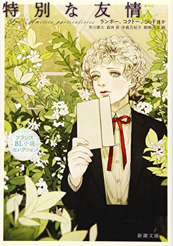 特別な友情 フランスBL小説セレクション