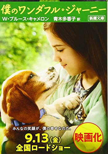 僕のワンダフル・ジャーニー