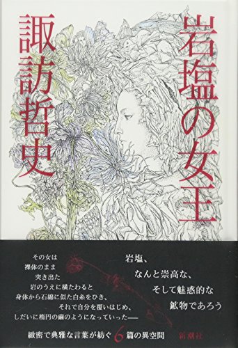 諏訪哲史『岩塩の女王』表紙