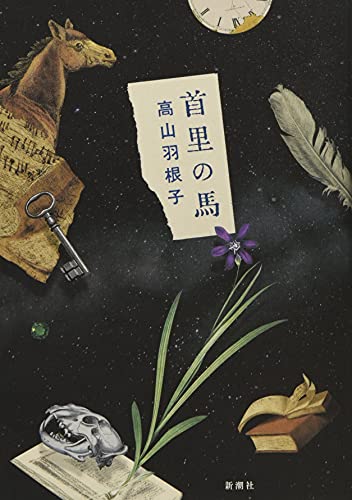Amazon.co.jp： 【第163回 芥川賞受賞作】首里の馬: 高山 羽根子: 本