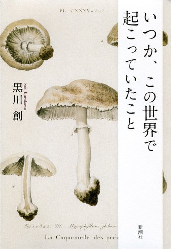 黒川創『いつか、この世界で起こっていたこと』表紙