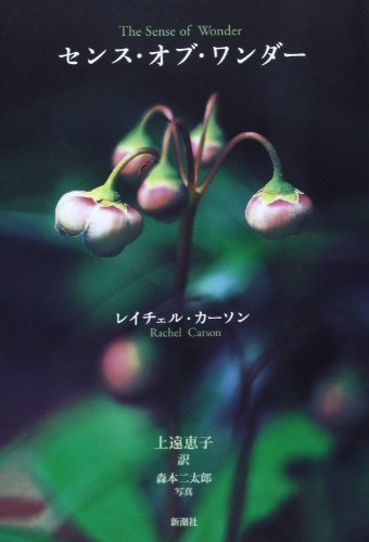 Amazonでレイチェル・L. カーソン, Carson, Rachel L., 恵子, 上遠のセンス・オブ・ワンダー。アマゾンならポイント還元本が多数。レイチェル・L. カーソン, Carson, Rachel L., 恵子, 上遠作品ほか、お急ぎ便対象商品は当日お届けも可能。またセンス・オブ・ワンダーもアマゾン配送商品なら通常配送無料。