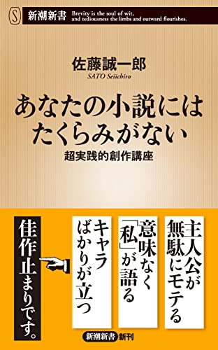 あなたの小説にはたくらみがない 超実践的創作講座