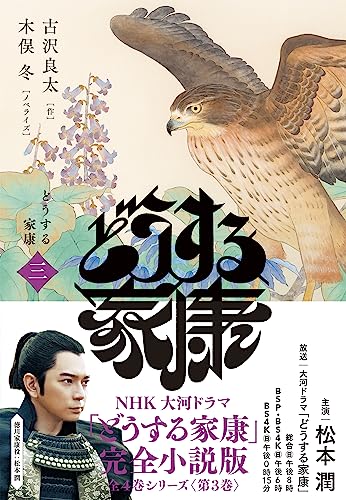 どうする家康 三(3)