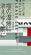 塩の湿地に消えゆく前に