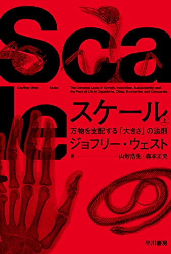 スケール 上 万物を支配する「大きさ」の法則