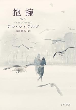 抱擁 書影