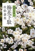 梅花下駄 照降町四季(三)