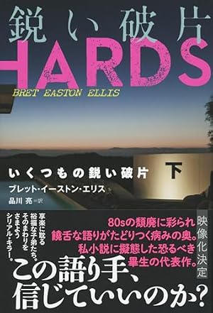 いくつもの鋭い破片 下 書影