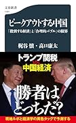 ピークアウトする中国 「殺到する経済」と「合理的バブル」の限界