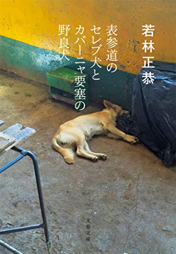 Amazon.co.jp： 表参道のセレブ犬とカバーニャ要塞の野良犬 (文春文庫): 若林 正恭: 本