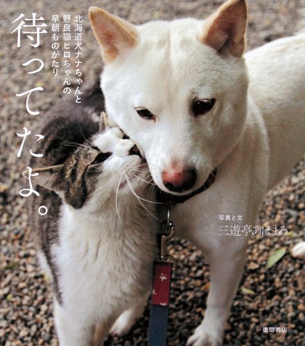一気にわかる！池上彰の世界情勢２０１８ 国際紛争、一触即発編