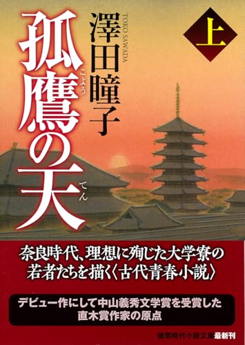 孤鷹の天上 〈新装版〉