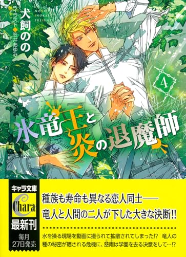 氷竜王と炎の退魔師 (4)