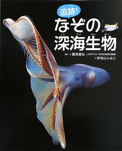 一気にわかる！池上彰の世界情勢２０１８ 国際紛争、一触即発編
