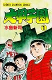 大甲子園 の書影