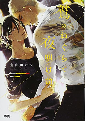 鷲のねぐらで夜明け前