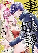 妻という名の奴◯になって 3