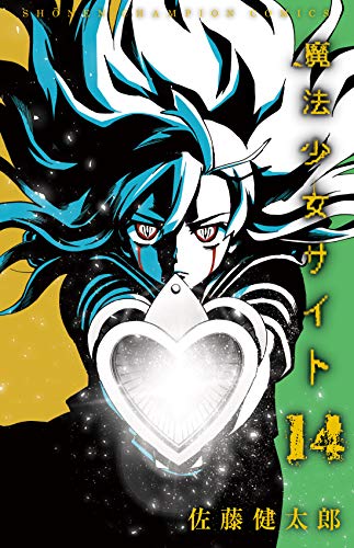 魔法少女サイト(14)