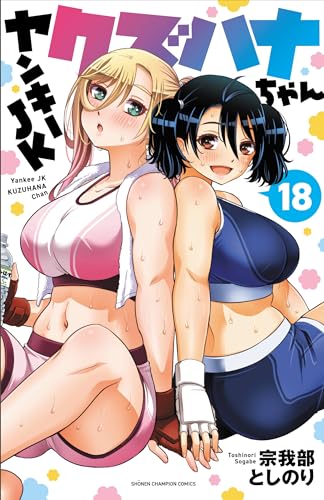 ヤンキーＪＫクズハナちゃん  18 18表紙画像