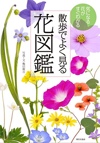一気にわかる！池上彰の世界情勢２０１８ 国際紛争、一触即発編