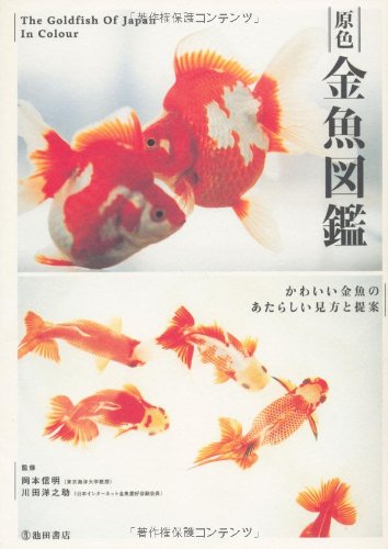 金魚の赤ちゃんはみな黒い色 かわいい金魚の見方 Bookstand Aera Dot アエラドット