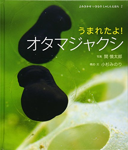 うまれたよ!オタマジャクシの表紙