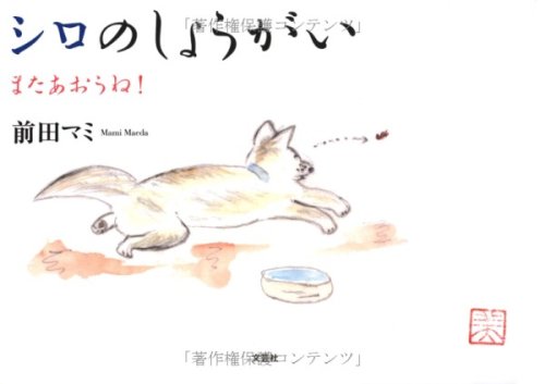 一気にわかる！池上彰の世界情勢２０１８ 国際紛争、一触即発編
