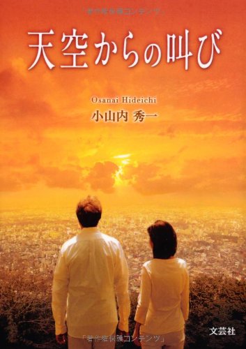 天空からの叫び