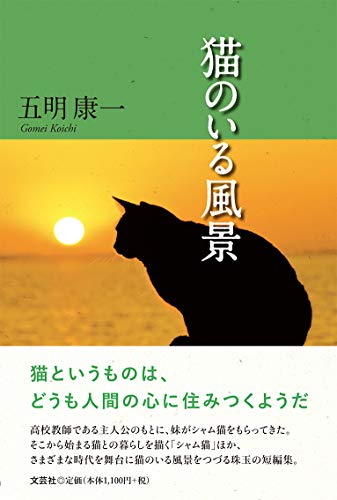 猫のいる風景