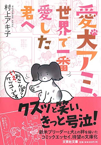 愛犬アミ、世界で一番愛した君へ
