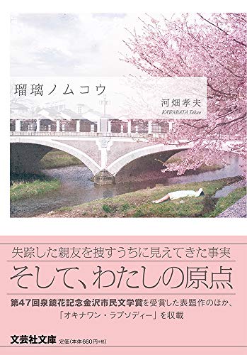  瑠璃ノムコウ【文芸社文庫】