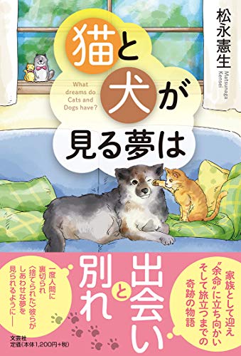一気にわかる！池上彰の世界情勢２０１８ 国際紛争、一触即発編