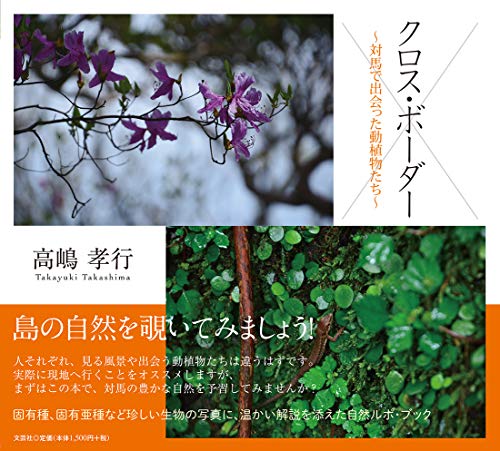 一気にわかる！池上彰の世界情勢２０１８ 国際紛争、一触即発編