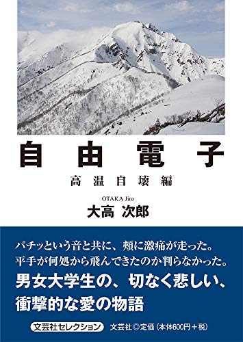 自由電子 高温自壊編