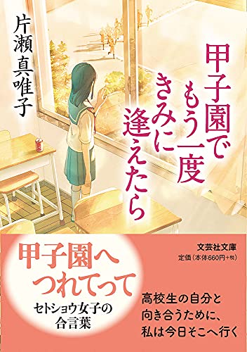  甲子園でもう一度きみに逢えたら【文芸社文庫】
