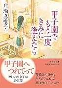  甲子園でもう一度きみに逢えたら【文芸社文庫】