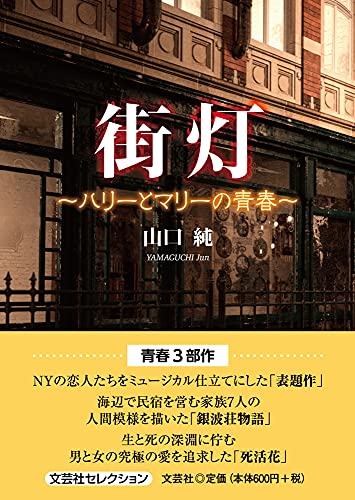 街灯 ハリーとマリーの青春