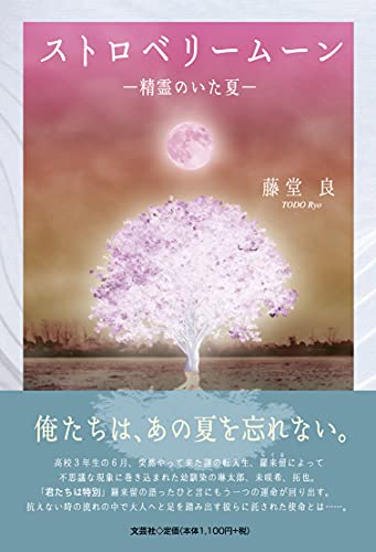 ストロベリームーン 精霊のいた夏