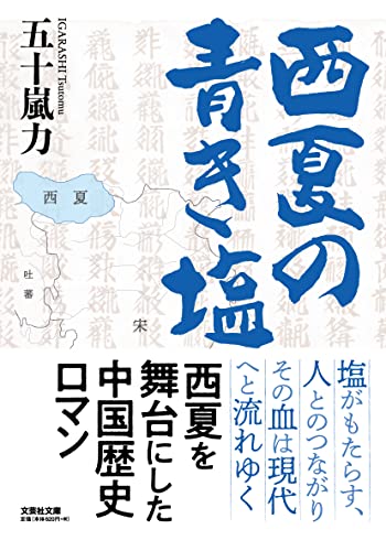  西夏の青き塩【文芸社文庫】